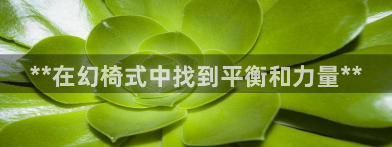 欧洲杯在哪个网站购买