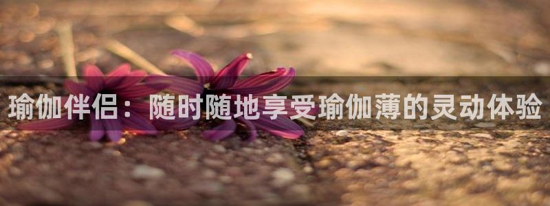 欧洲杯下单平台官方网站