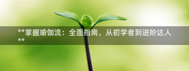 怎么买欧洲杯