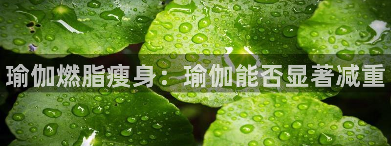 2024欧洲杯押注官网