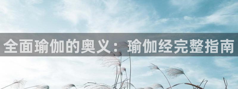 欧洲杯哪里买球靠谱