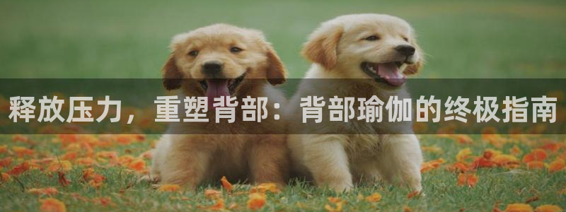 买足球平台哪个比较好
