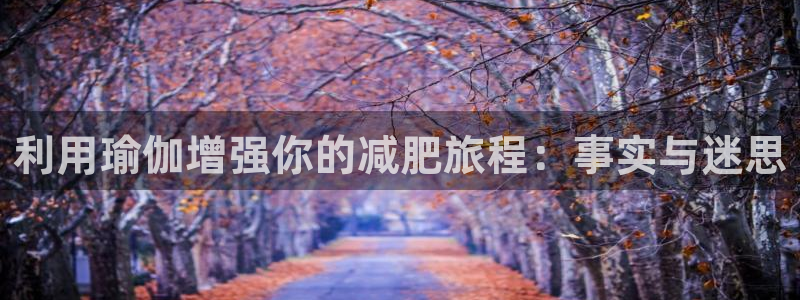 欧洲杯投注入口官网