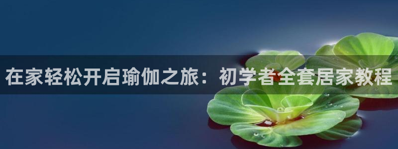欧洲杯最新赛程