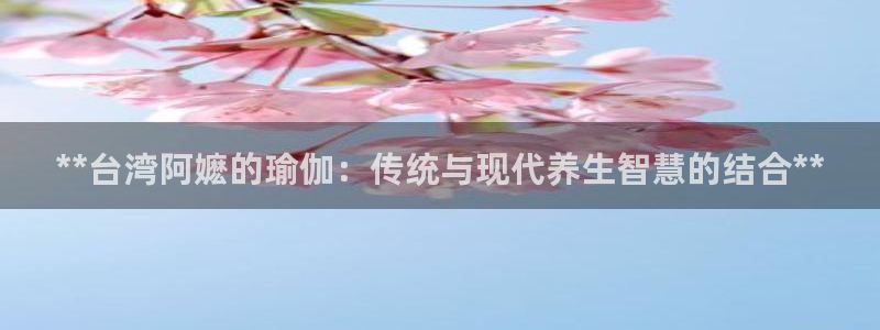 欧洲杯下赌注平台