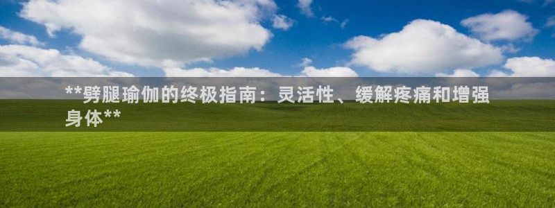 买欧洲杯的竞猜在那个app