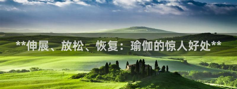 2024欧洲杯竞猜网址