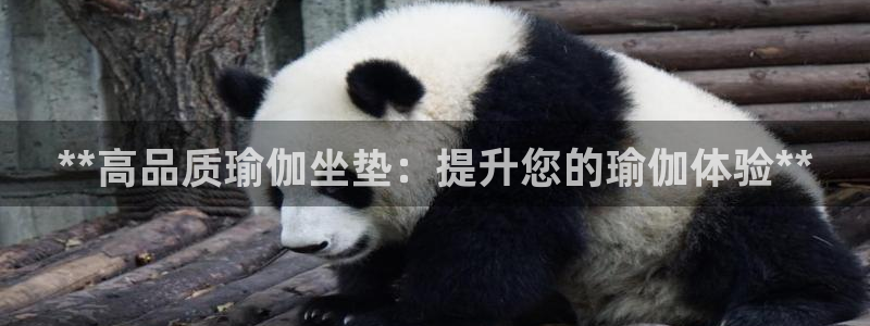 2024欧洲杯押注官网