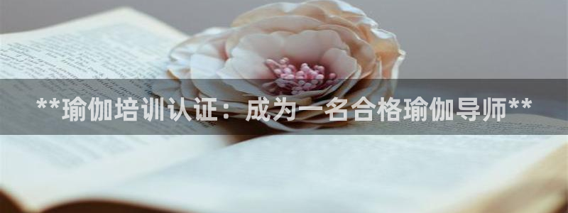 欧洲杯指定投注网站