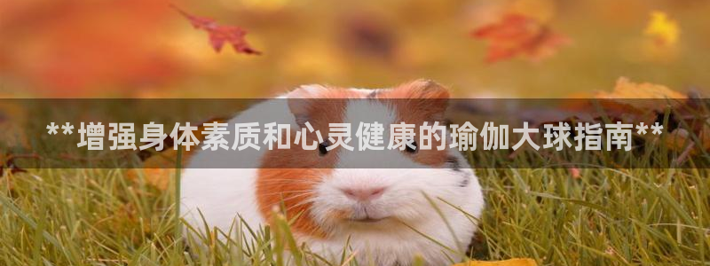 欧洲杯靠谱买球平台