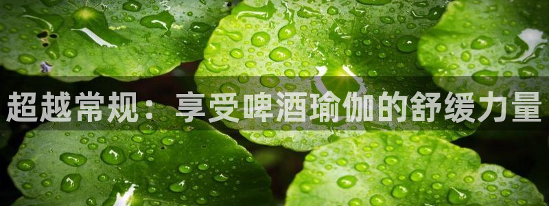怎么买欧洲杯
